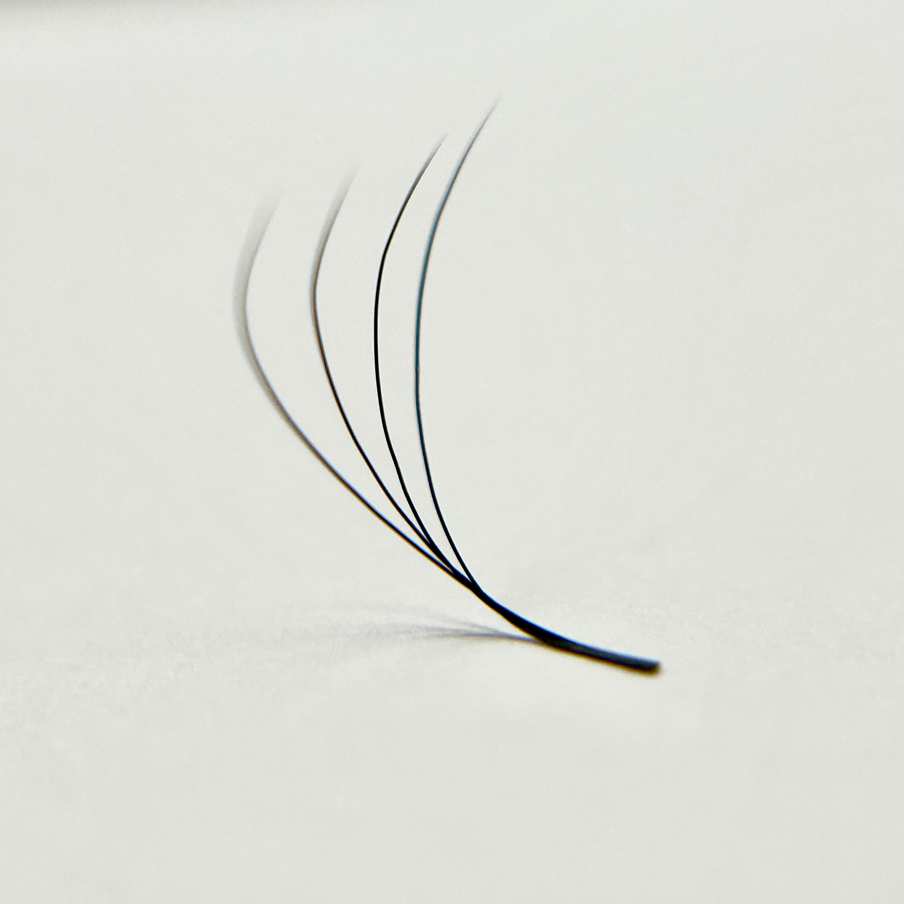 4D W VOLUME LASHES