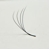 4D W VOLUME LASHES