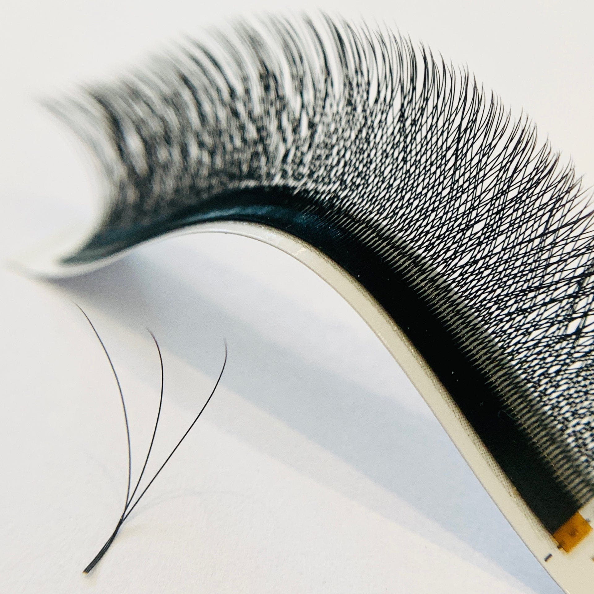 3D W VOLUME LASHES