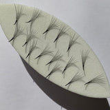 CLEARANCE - 4/5/7/10D LOOSE PROMADE FANS (NARROW SHAPE)