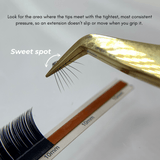 Volume Pro - Polished Tip Tweezer
