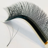 3D W VOLUME LASHES