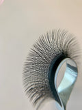 3D W VOLUME LASHES