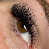 Volume Lashes by Chloe Beauty Suite 