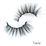 SINGLE MAGNETIC LASH & LINER KIT