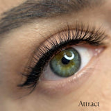 Avella Beauty, ATTRACT 3D Lash, , Avella Beauty - Expert Designed Magnetic Lashes & Beauty products
