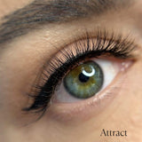 Avella Beauty, ATTRACT Magnetic Lash Kit, Luxury 3D Lashes, Avella Beauty - Expert Designed Magnetic Lashes & Beauty products