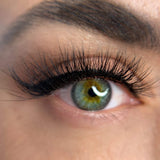 Avella Beauty Australia EXTEND 3D Lash Long, Fluffy, Natural Luxury 3D Lashes