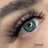 Avella Beauty, HYBRID 3D Lash, , Avella Beauty - Expert Designed Magnetic Lashes & Beauty products