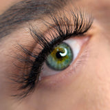 Avella Beauty Australia KIKI Magnetic Lash & Liner Kit Long, Spikey, Doll Magnetic Lashes