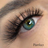 PURRFECT 3D Lash.