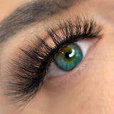 Avella Beauty Australia "PURRFECT" Magnetic Lash & Liner Kit Long, Fluffy, Cat Eye Magnetic Lashes