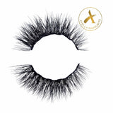 magnetic lash & liner kit