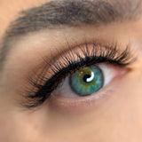 Avella Beauty Australia SUMMER Magnetic Lash & Liner Kit Short, Fluffy, Natural Magnetic Lashes