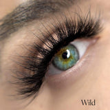 Avella_Magnetic_Lash_WILD