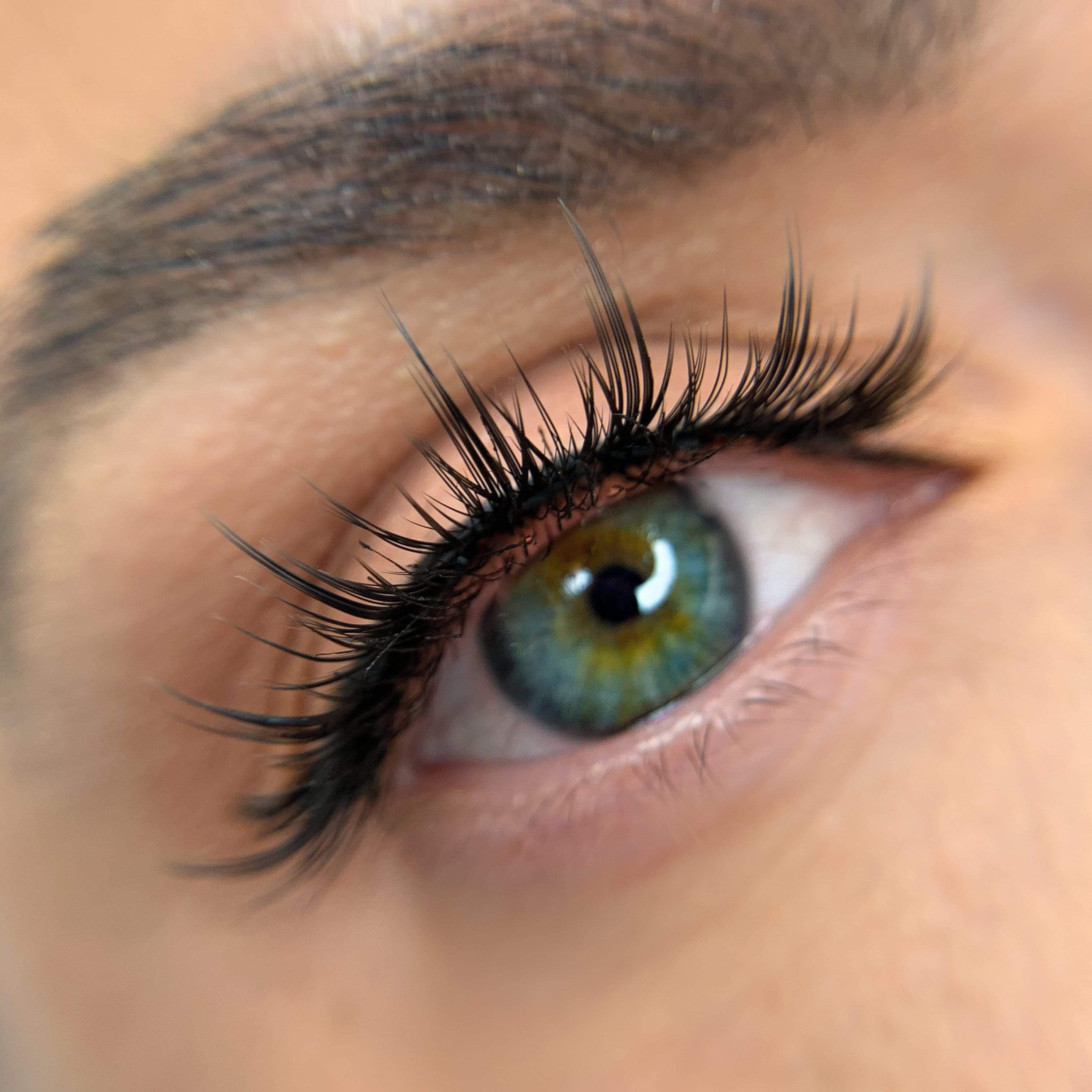 Shop Women Luxury 3D Lashes Wisp AU | Glam Lash pro