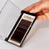 Brown Lashes 