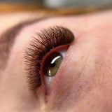 Brown Silk Lashes 