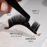 Black Lash Fibres